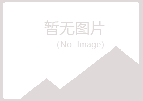 河池夏槐计算机有限公司